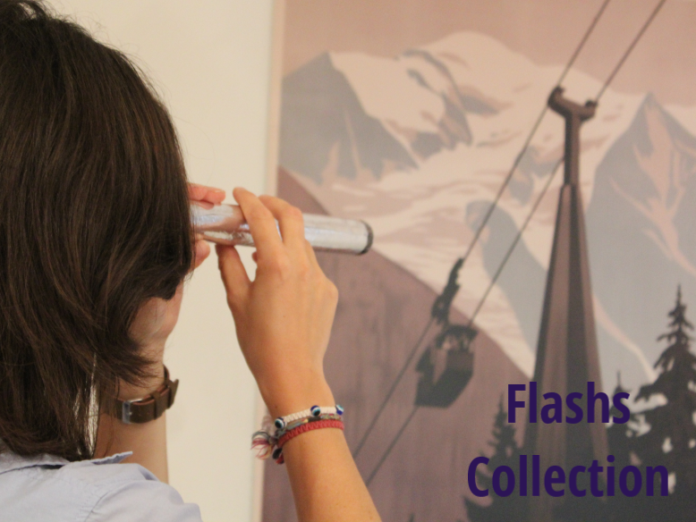 Flashs collections : discover an artwork in video !