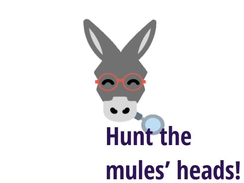 Hunt the mules' heads !