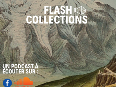 Flashcollections : découvrez les collections comme si vous étiez au musée ! Flashcollections : découvrez les collections comme si vous étiez au musée !