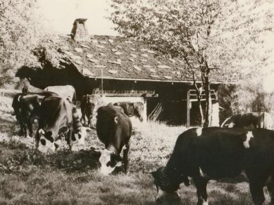 Visuel atelier Pot de vache Vaches devant une grange collection musée Montagnard
